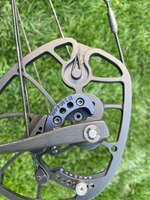 IMG_5425.jpeg