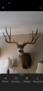 IMG_20250424_214814.jpg