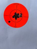 IMG_2747.jpeg