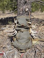44mag_sheds.jpg