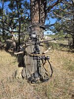 44mag_bow.jpg