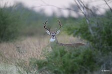 51-IMG_3298X-Focus.JPG