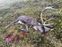 IMG_3475.jpeg