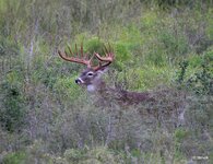 80-IMG_276123X-Motion.JPG