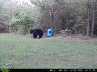 IMG_3550.jpeg