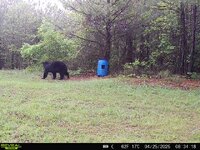 IMG_2202.jpeg