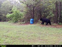 IMG_2201.jpeg