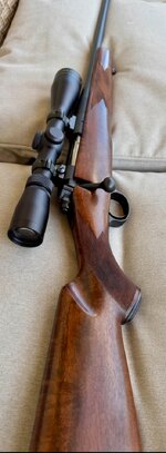 IMG_9854.jpeg