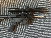 IMG_2186.jpeg