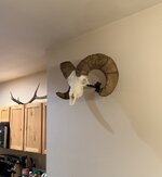IMG_2200.jpeg