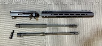 IMG_8393.jpeg
