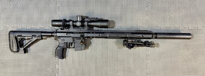 IMG_8322.jpeg