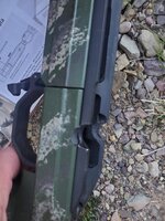20250423_075553.jpg