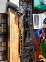 IMG_3194.jpeg