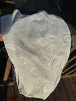 IMG_0538.jpeg