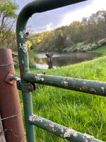 IMG_4750.jpeg