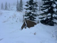 IMG_4271.jpeg