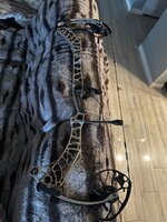 IMG_1508.jpeg
