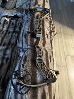 IMG_1507.jpeg