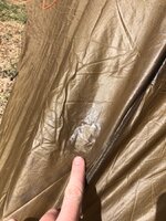 IMG_2161.jpeg