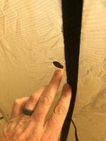 IMG_2163.jpeg