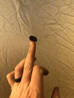 IMG_2164.jpeg