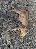 IMG_5065.jpeg
