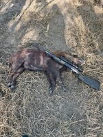 IMG_5057.jpeg