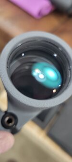 20250426_114606.jpg