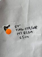 IMG_2787.jpeg