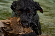 IMG_2414.jpeg