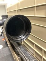Image_6.jpg Image_6.jpg