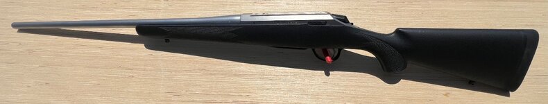 IMG_6497.jpeg