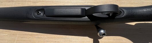 IMG_6501.jpeg