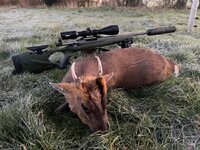 IMG_7313.jpeg