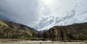 IMG_2902.jpeg
