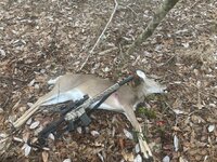 IMG_2747.jpeg