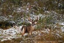 23-IMG_43441X-Motion.JPG
