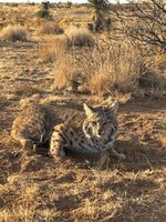 IMG_1746.jpeg