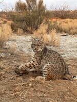 IMG_1774.jpeg