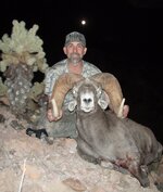 Desert Bighorn 2.JPG