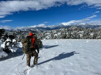 IMG_4538.jpeg