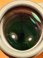 IMG_2304.jpeg