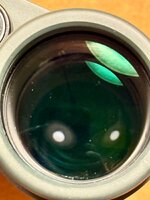 IMG_2305.jpeg