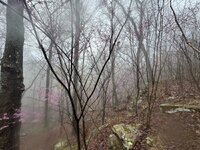 IMG_6713.jpeg