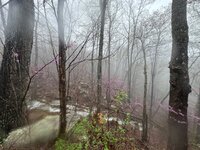 IMG_6712.jpeg