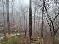 IMG_6711.jpeg