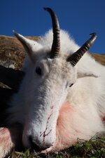 IMG_0389.jpeg