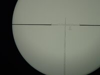 P4300395.JPG