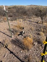 IMG_1803.jpeg